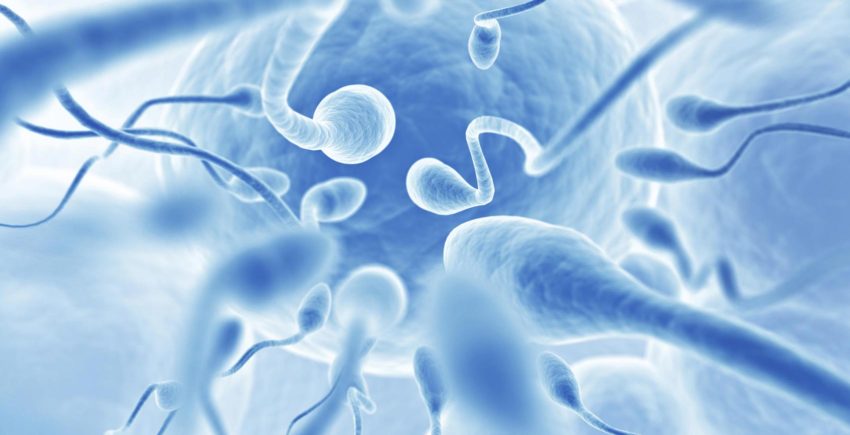 banner-images-sperm-mapping-r