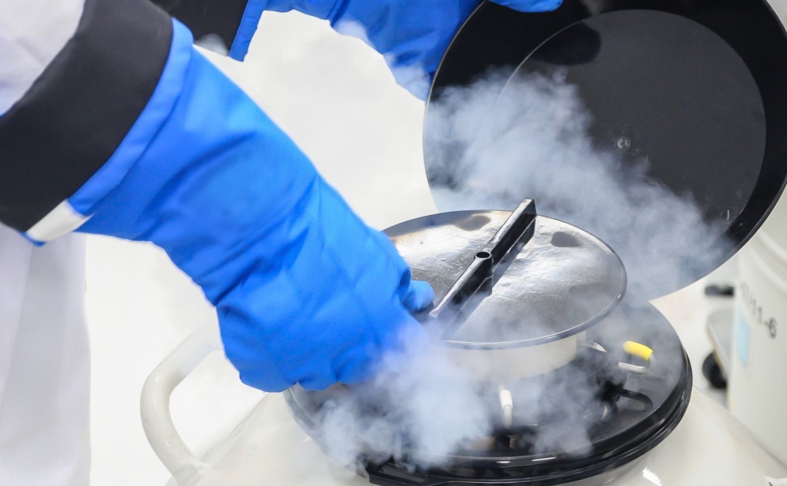 iStock cryobanking final