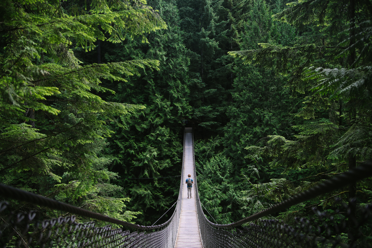 Man on an adventure exploring a lake and walking a suspension bridge