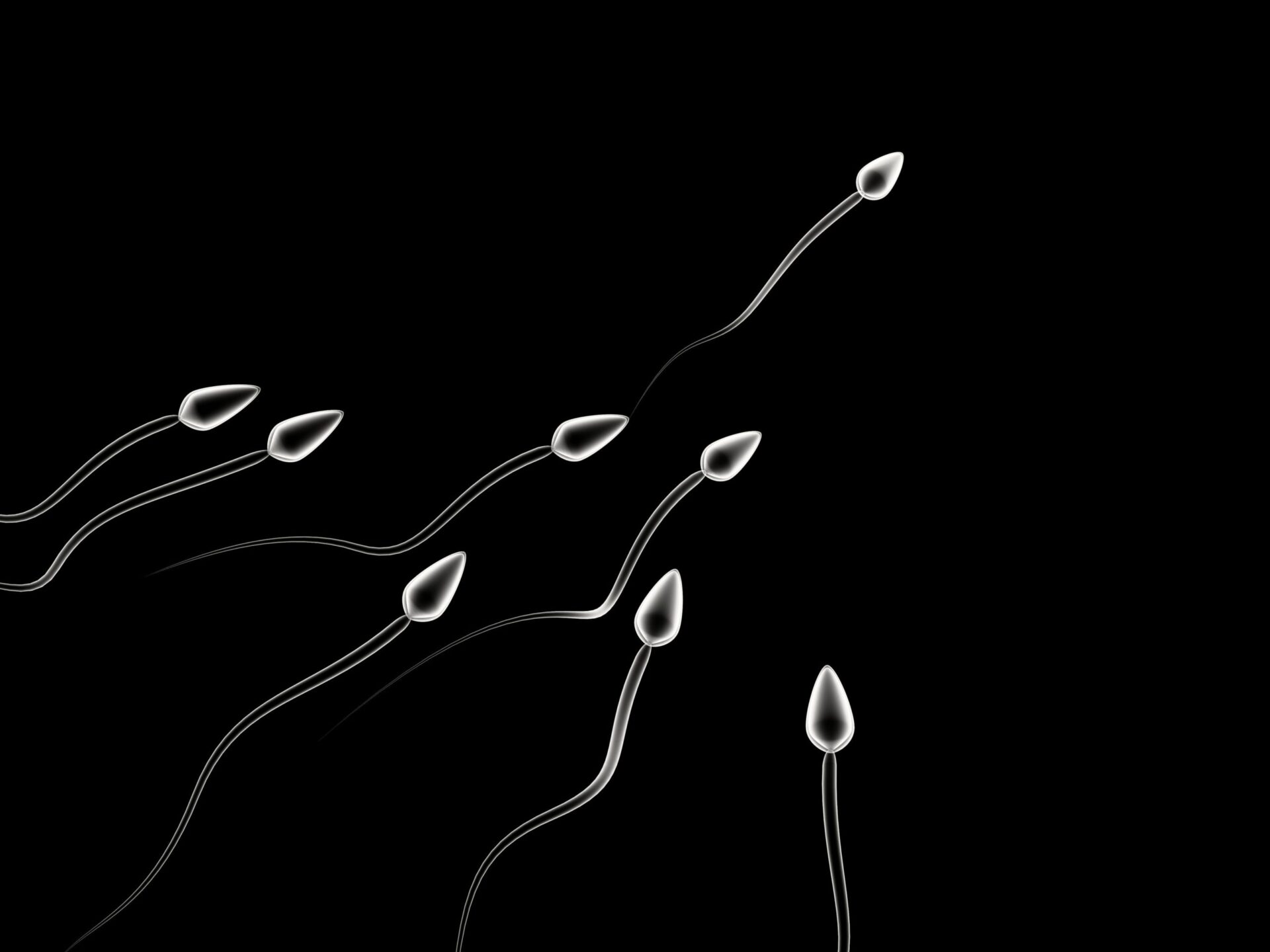 Sperm Found in 37% of Azoospermic Patients