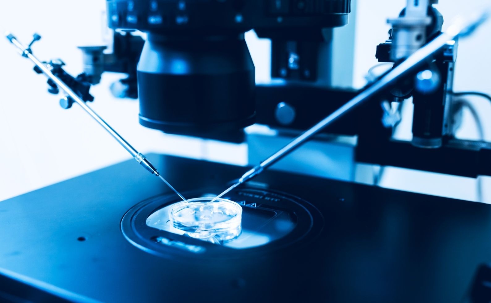 Essmequipment Feature