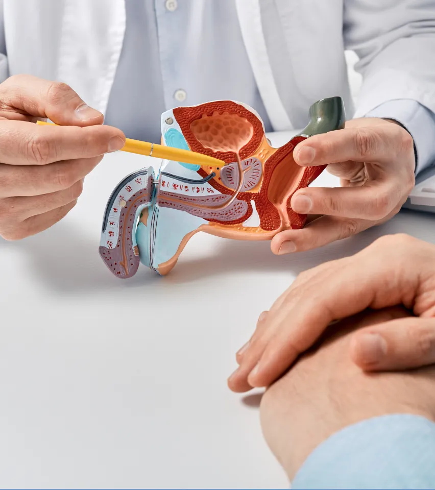 img delayed ejaculation symptoms diagnosis 2x