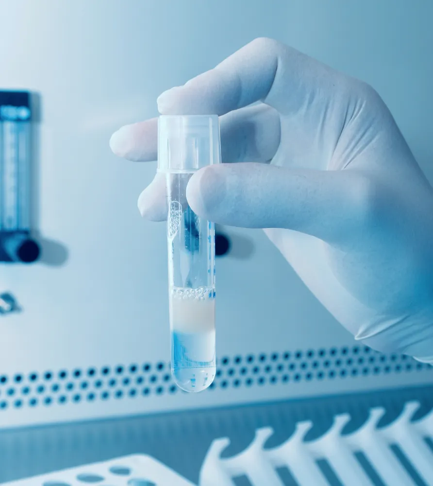 img how essm works step by step 2x