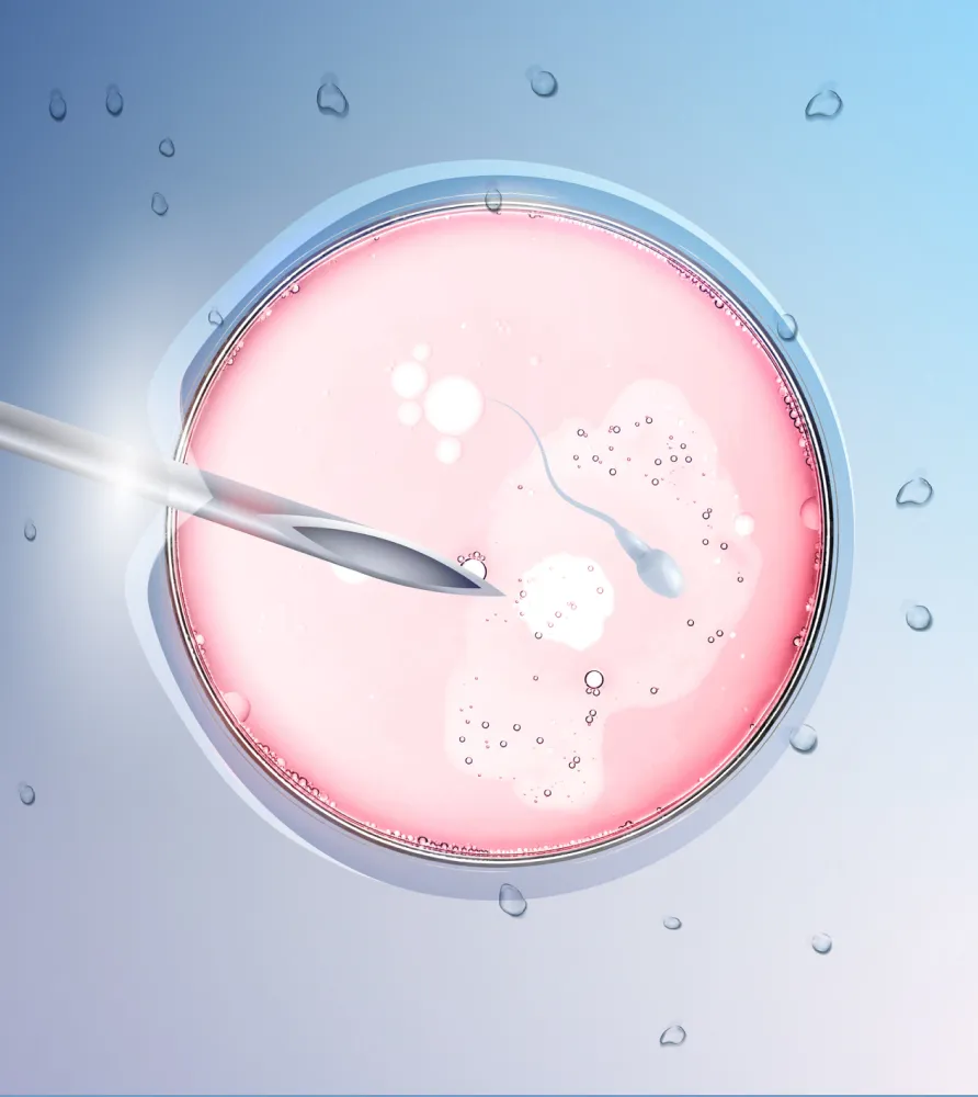 img maze s unique approach azoospermia treatment 2x