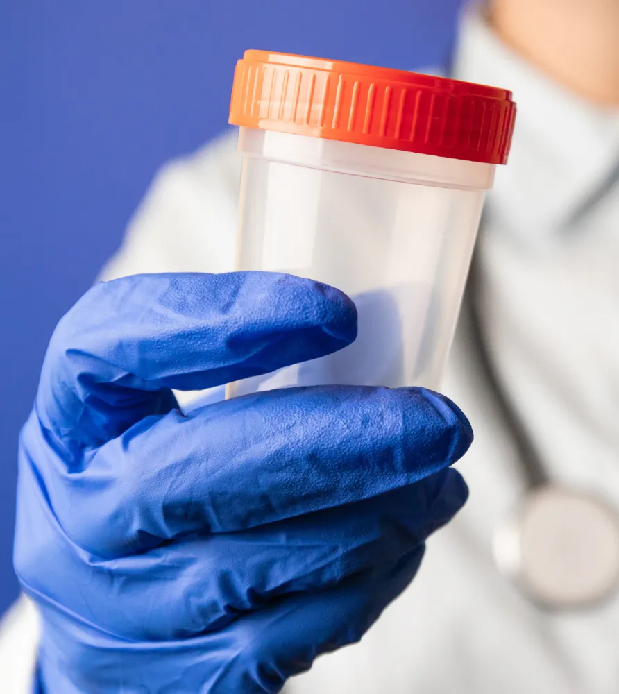 img preparing for the test 2x