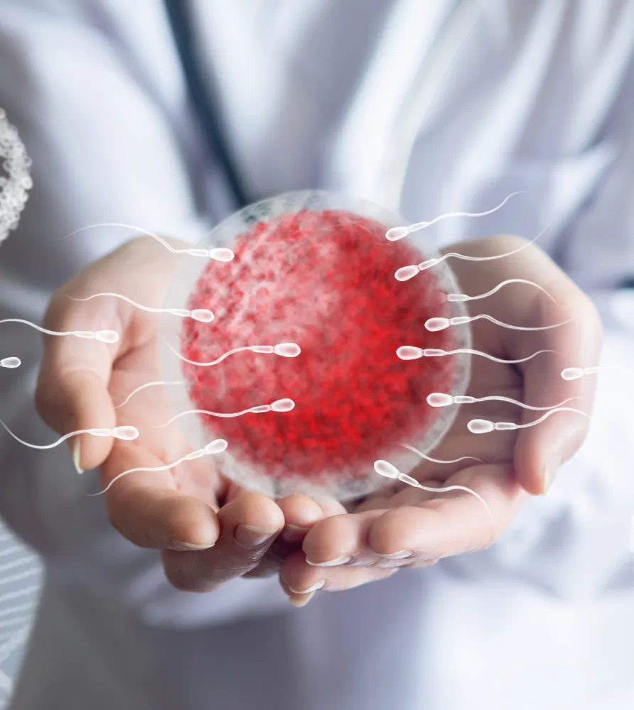 img semen analysis overview 2x