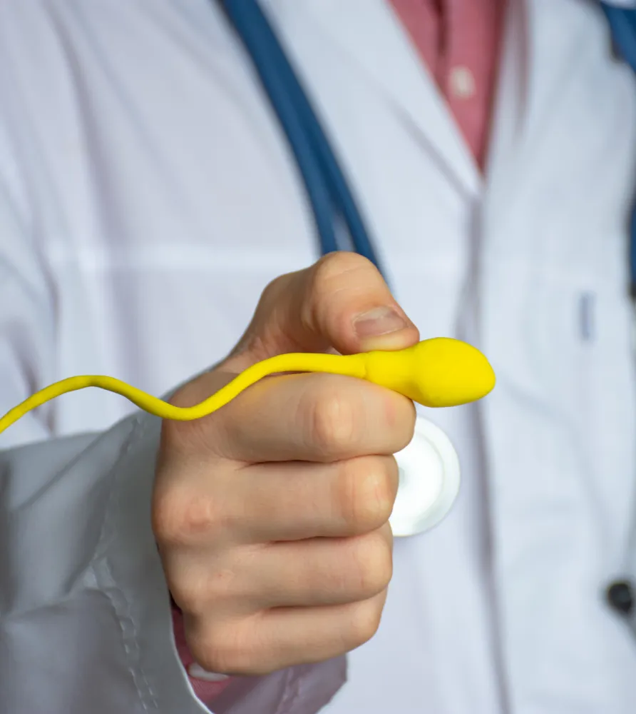 img sperm mapping is it right for me 2x