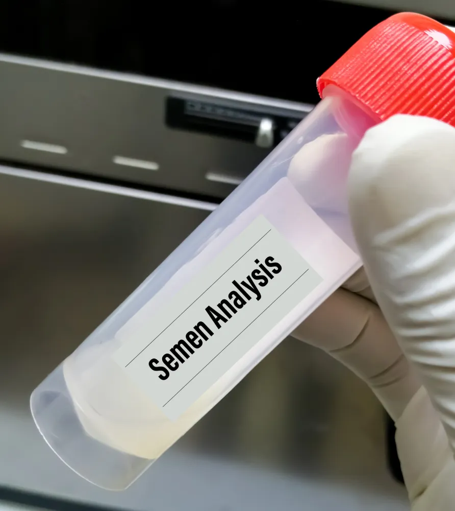 img the essential first step in understanding male fertility 2x