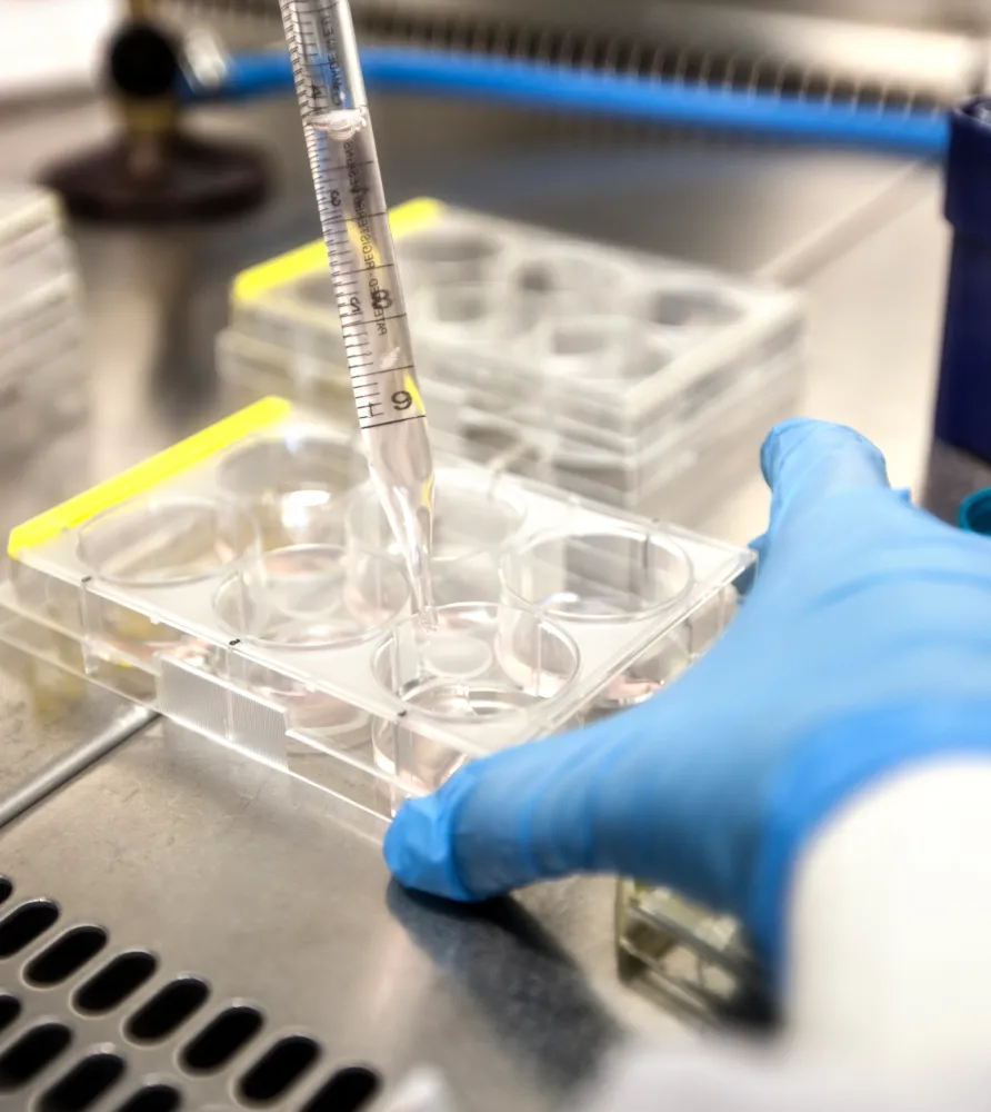 img treatment options for epididymal obstruction 2x