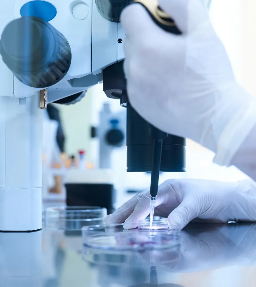 img understanding the diagnosis 2x